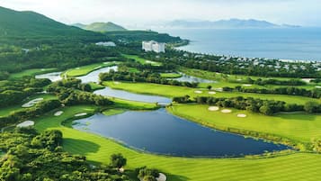 Servicio de la propiedad