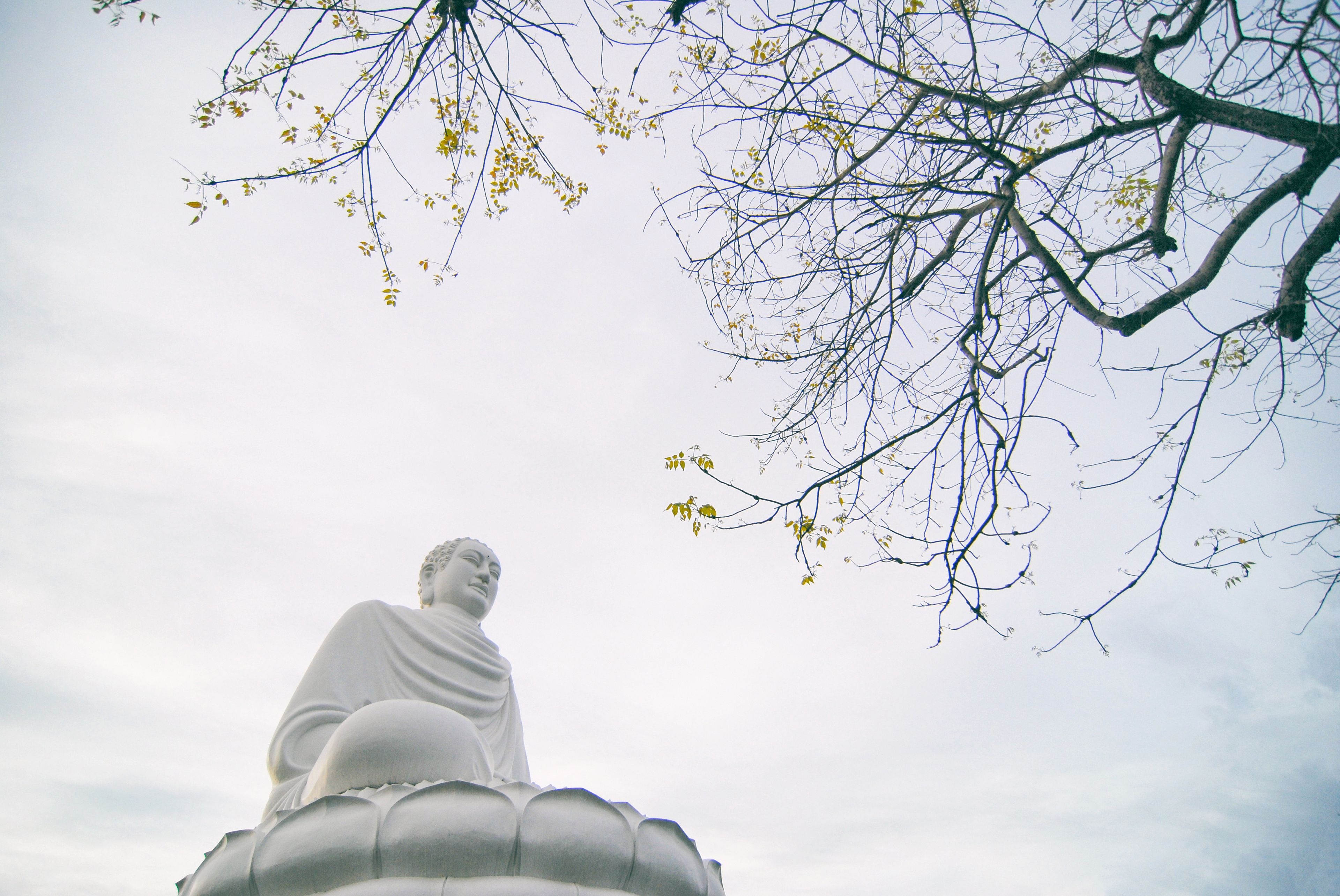 A large white statue of a seated figure with a lotus base, surrounded by bare tree branches against a cloudy sky.