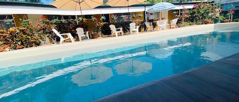 Piscine extérieure, chaises longues