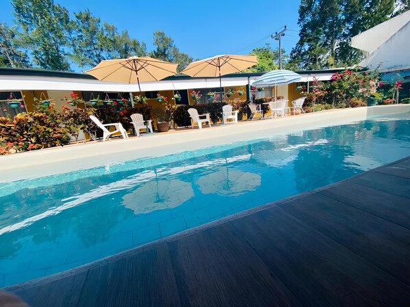 Outdoor pool, open 10:00 AM to 8:00 PM, sun loungers