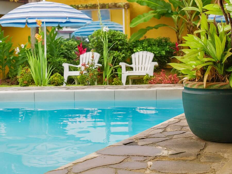 Outdoor pool, open 10:00 AM to 8:00 PM, pool loungers