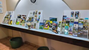 Een presentatie van reisbrochures en boeken op een toonbank, met een klok erboven.