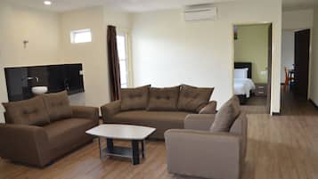Flat-screen TV