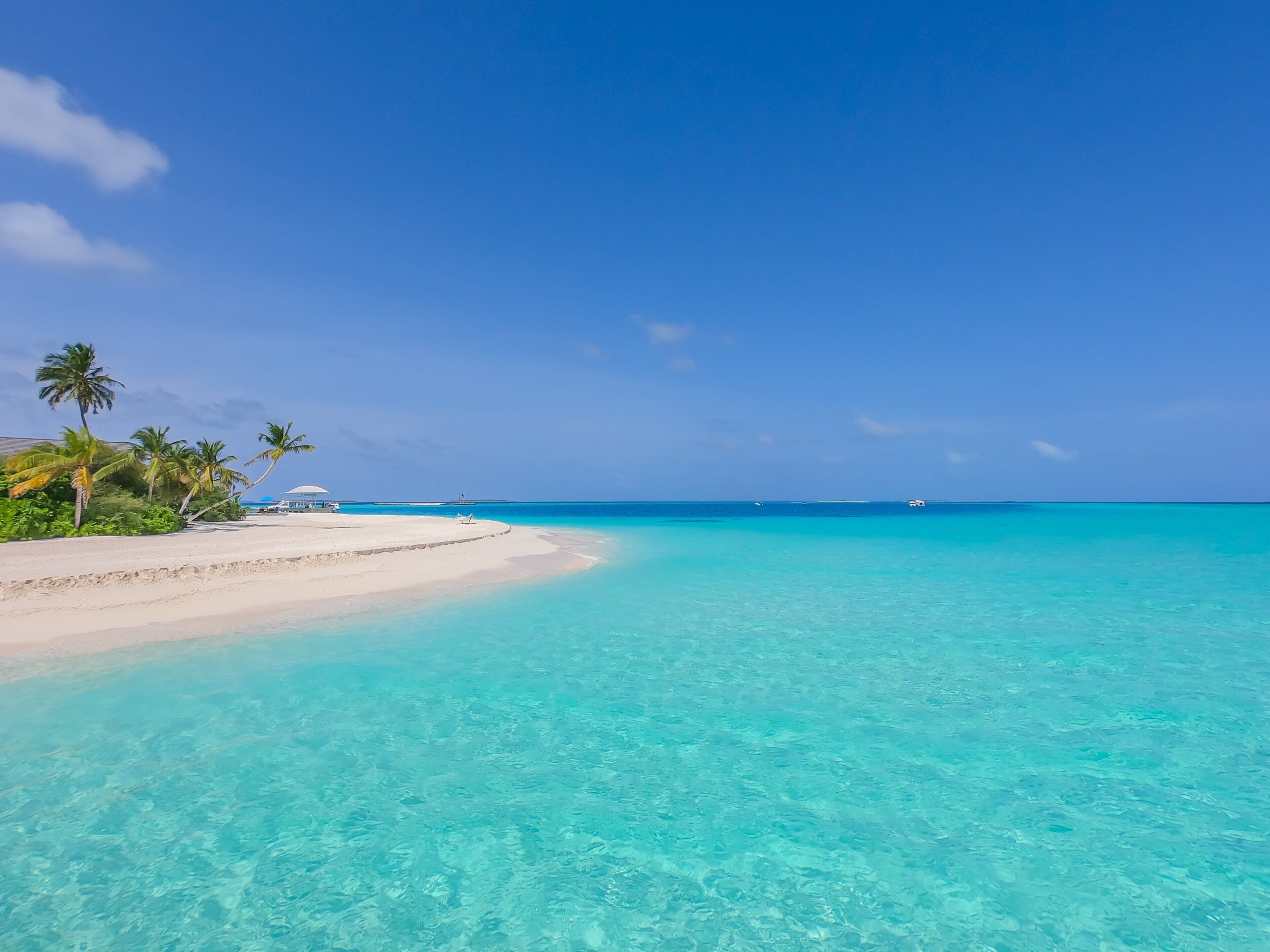 A beach with clear turquoise water, palm trees, and a small building on the shore.