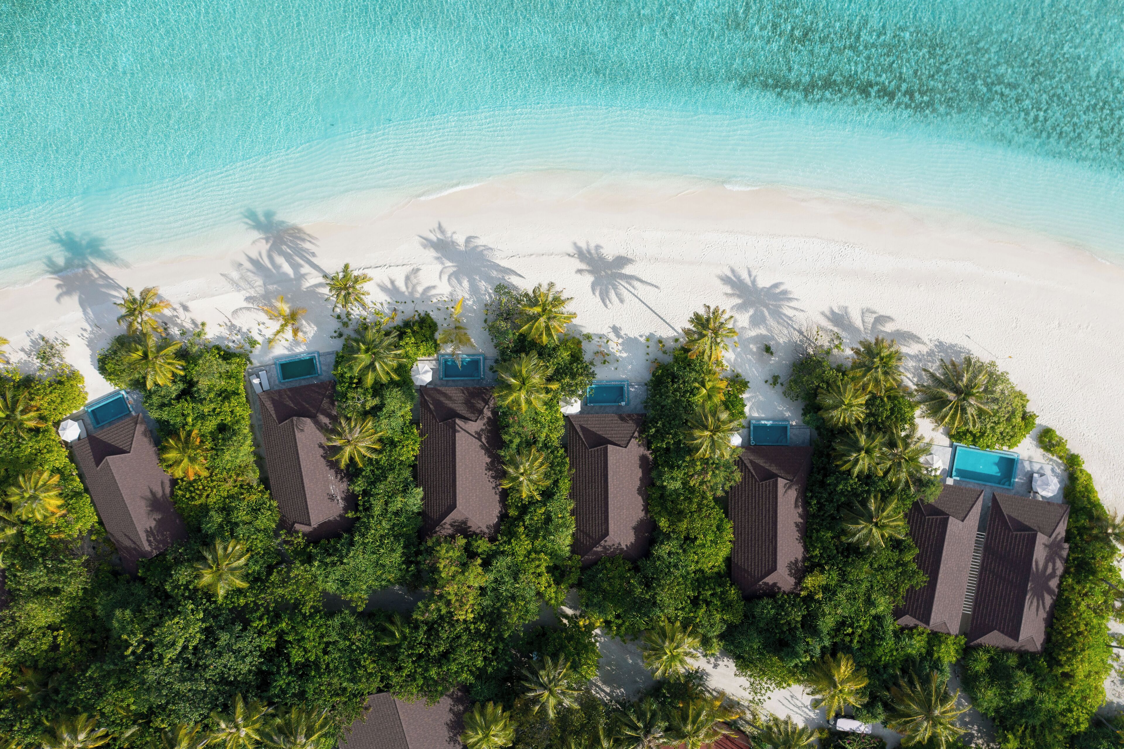 An aerial view of a beachfront resort with multiple bungalow-style buildings surrounded by lush palm trees and a sandy beach.