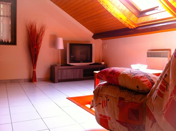 TV, DVD player, books