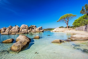 A clear coastal scene with large rocks in shallow water, a tree on a sandy area, and a stone wall. - Villa with pool in Porto-Vecchio at the gates of Palombaggia - Milobeach *** (Porto-Vecchio)