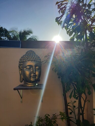 The Saint-louis River villa Cattleya 