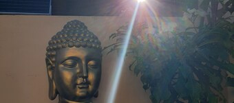 Die Villa Saint-Louis River Cattleya 