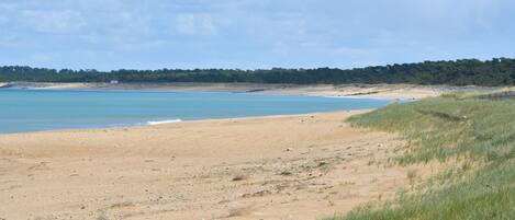 Plage à proximité, serviettes de plage
