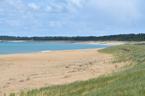 Komfortable Villa von 125 m² auf 1300 m² eingezäuntem Waldgrundstück