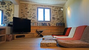 TV connectée, cheminée, jeux vidéo, lecteur de DVD