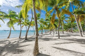 Beach nearby