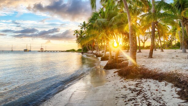 A beach with palm trees and a sunset. - KAZATIPUNCH - CHARMING BUNGALOW IN TROPICAL GARDEN (st francois)