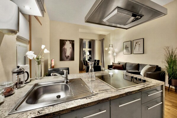 Apartment, 1 Queen Bed with Sofa bed, Non Smoking | Private kitchen | Full-size fridge, oven, stovetop, dishwasher - Apt. Obs. gt. 12 (Oslo)