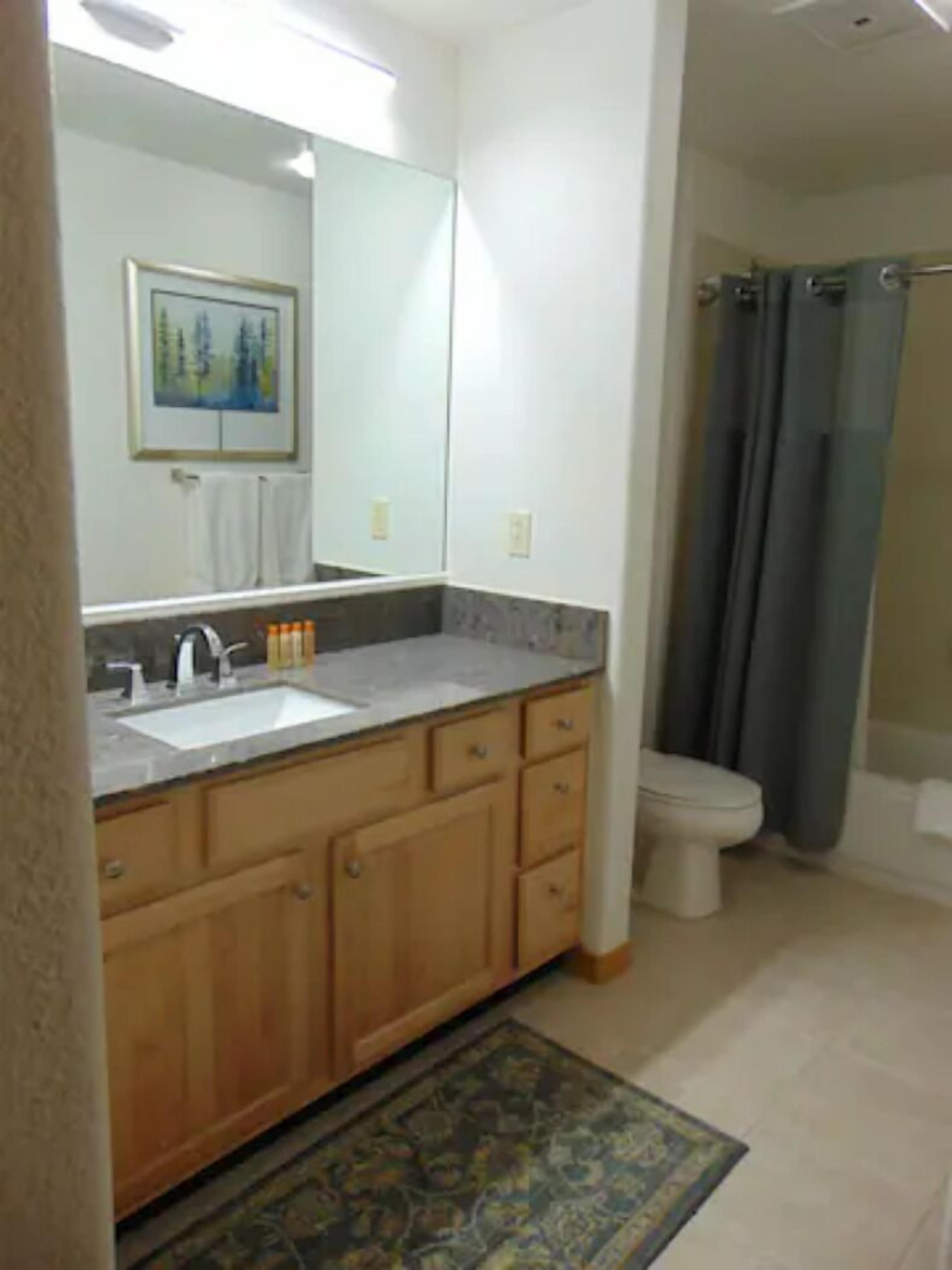 A bathroom with a wooden vanity, a sink, a toilet, and a shower curtain.