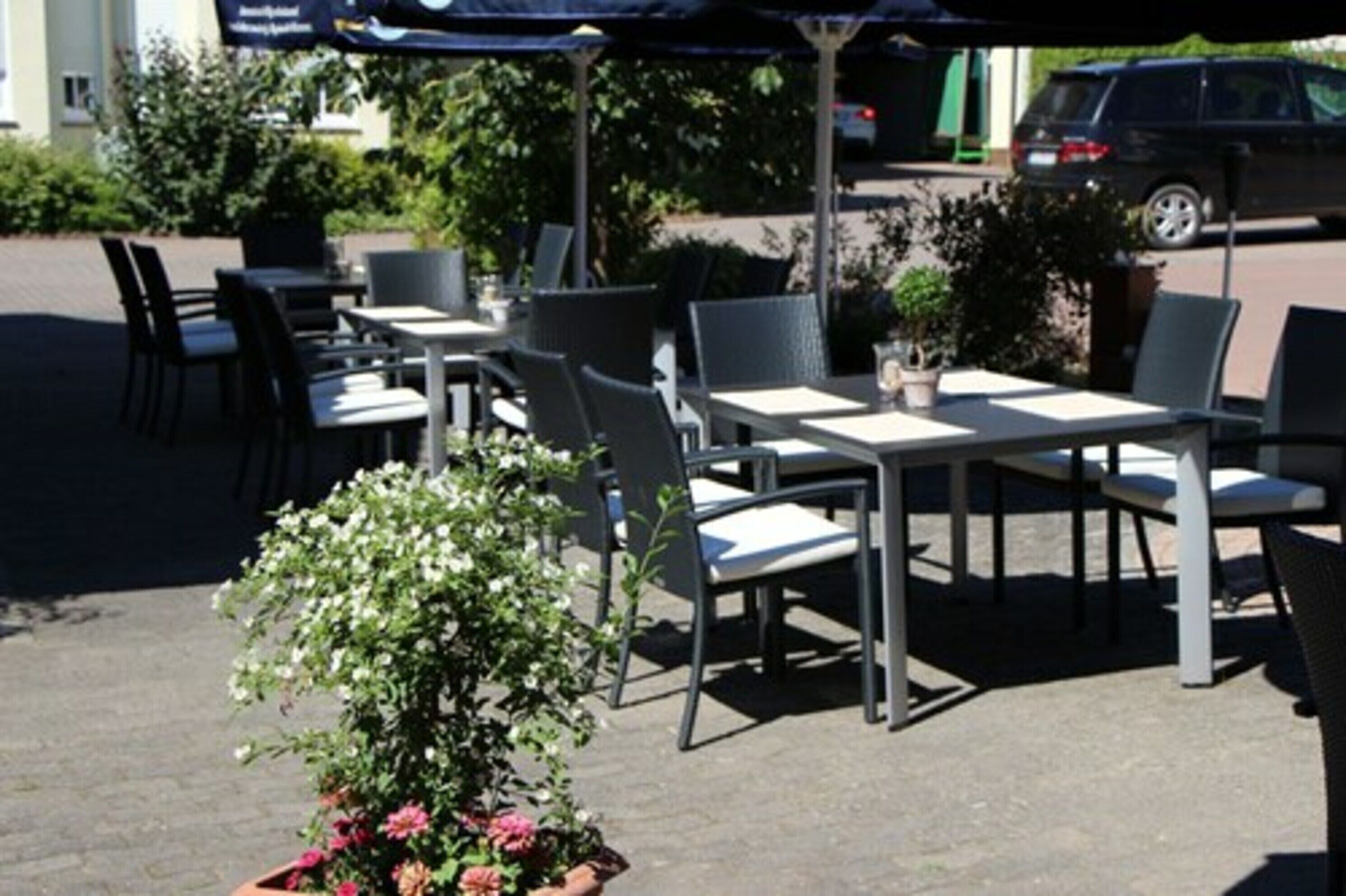 An outdoor seating area with tables and chairs, a potted plant, and a parked car in the background.