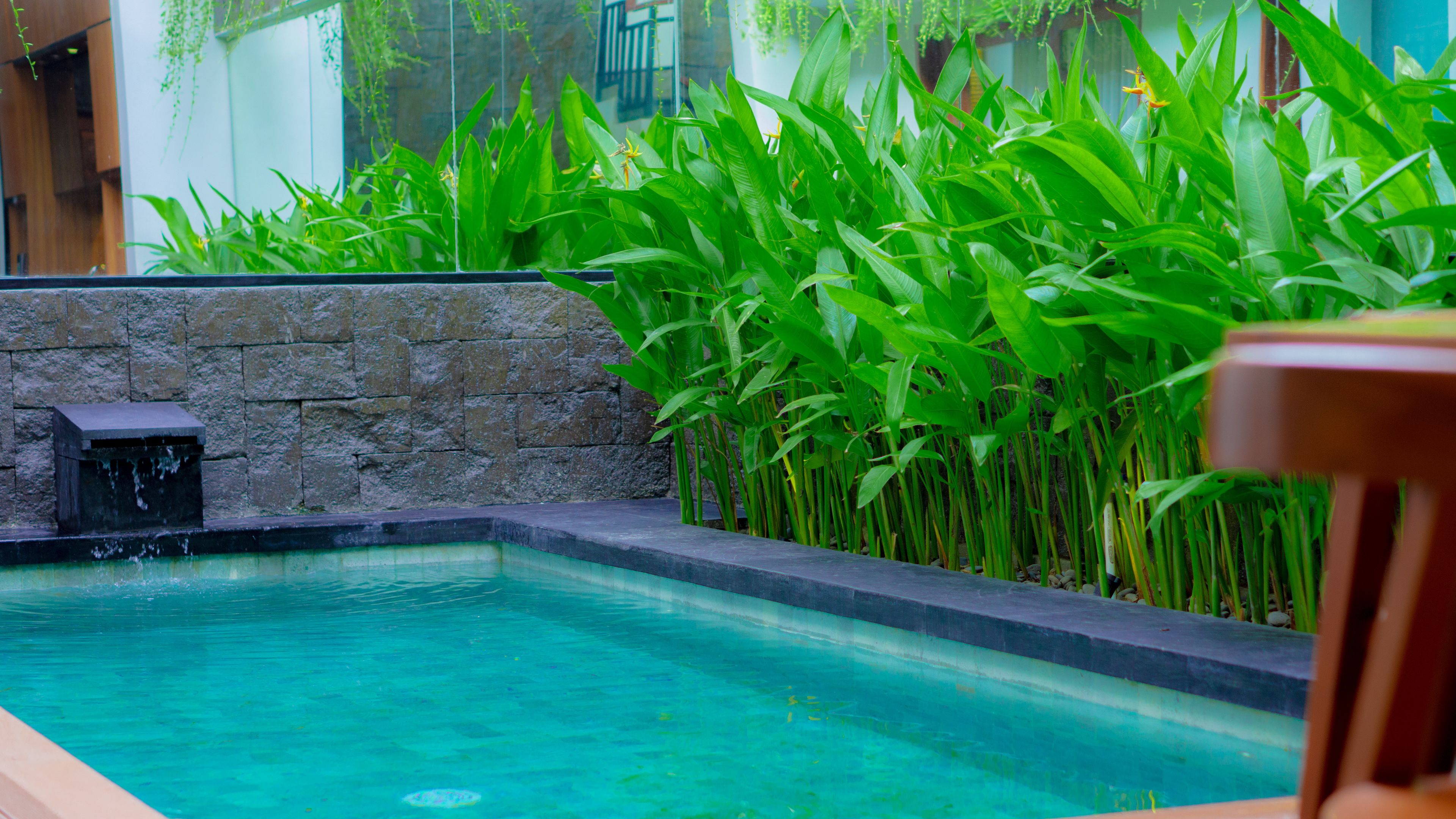 A rectangular pool with clear water, surrounded by lush green plants and a stone wall.