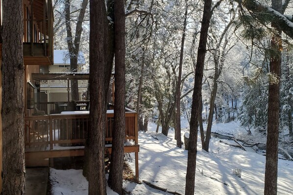 Property grounds - Home with private hot tub & fireplace - walk to beach, two dogs OK (Groveland)