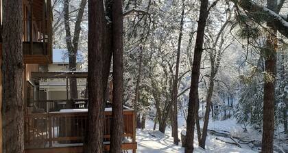 Home with private hot tub & fireplace - walk to beach, two dogs OK
