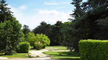 Taman