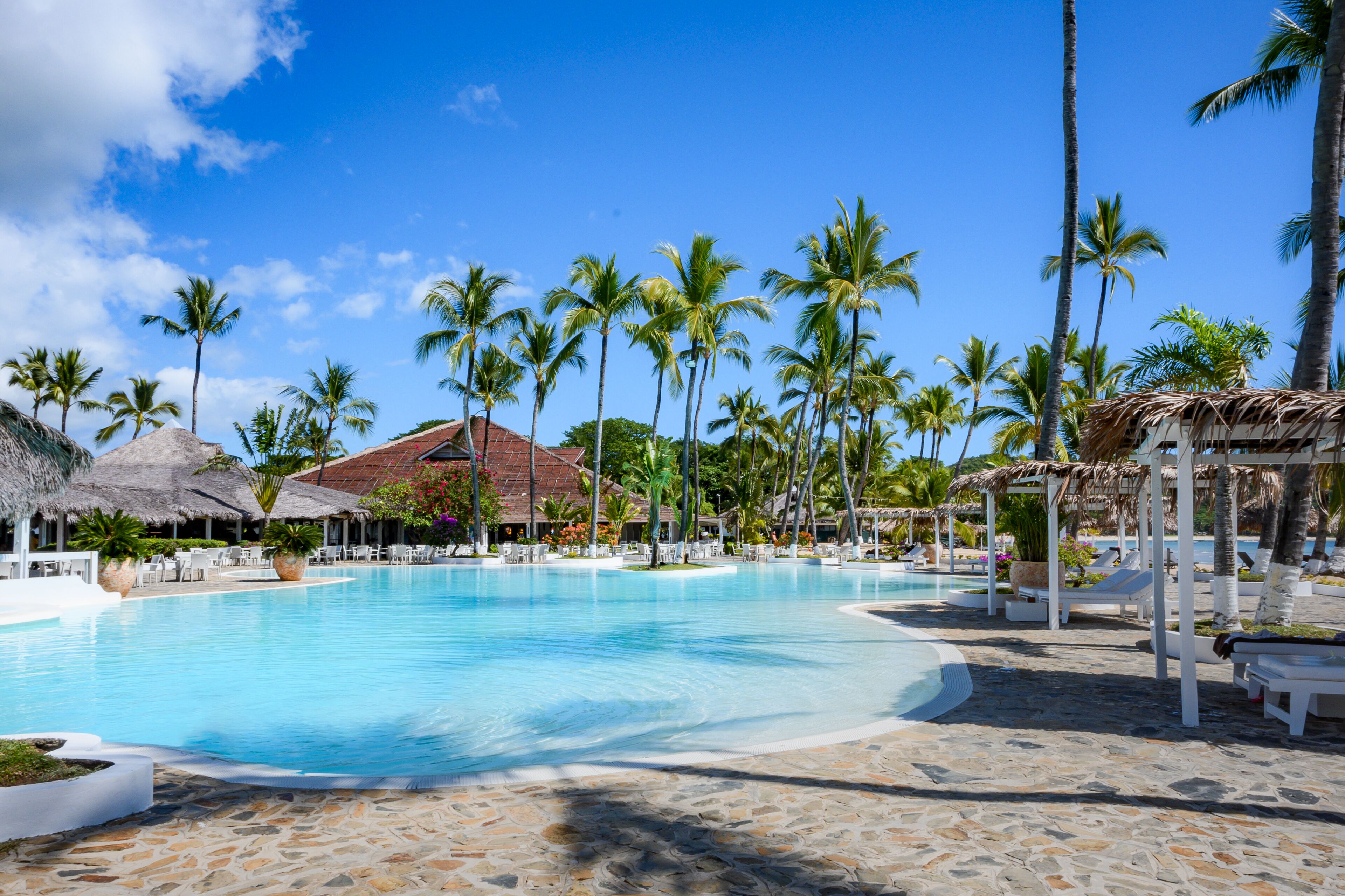 A resort pool with palm trees, lounge chairs, and thatched-roof structures.