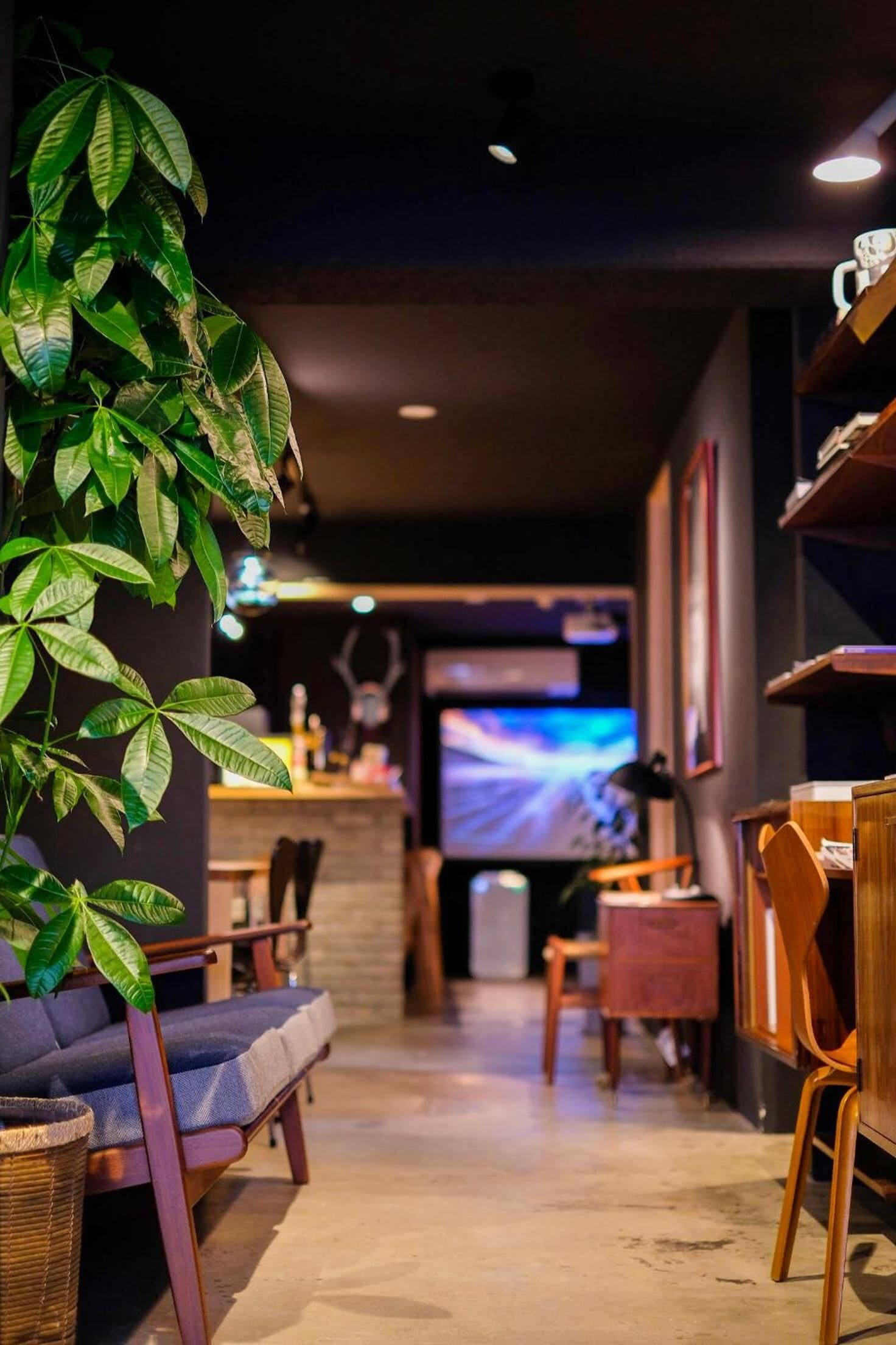 A cozy indoor space with seating, a television, and a plant.