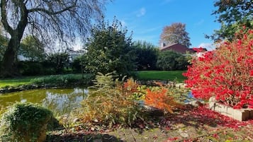 Een tuin met een vijver, diverse planten en een stenen muur.