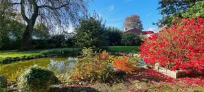 A garden with a pond, various plants, and a stone wall. - Kiek In Hotel Zur Einkehr (Stade)