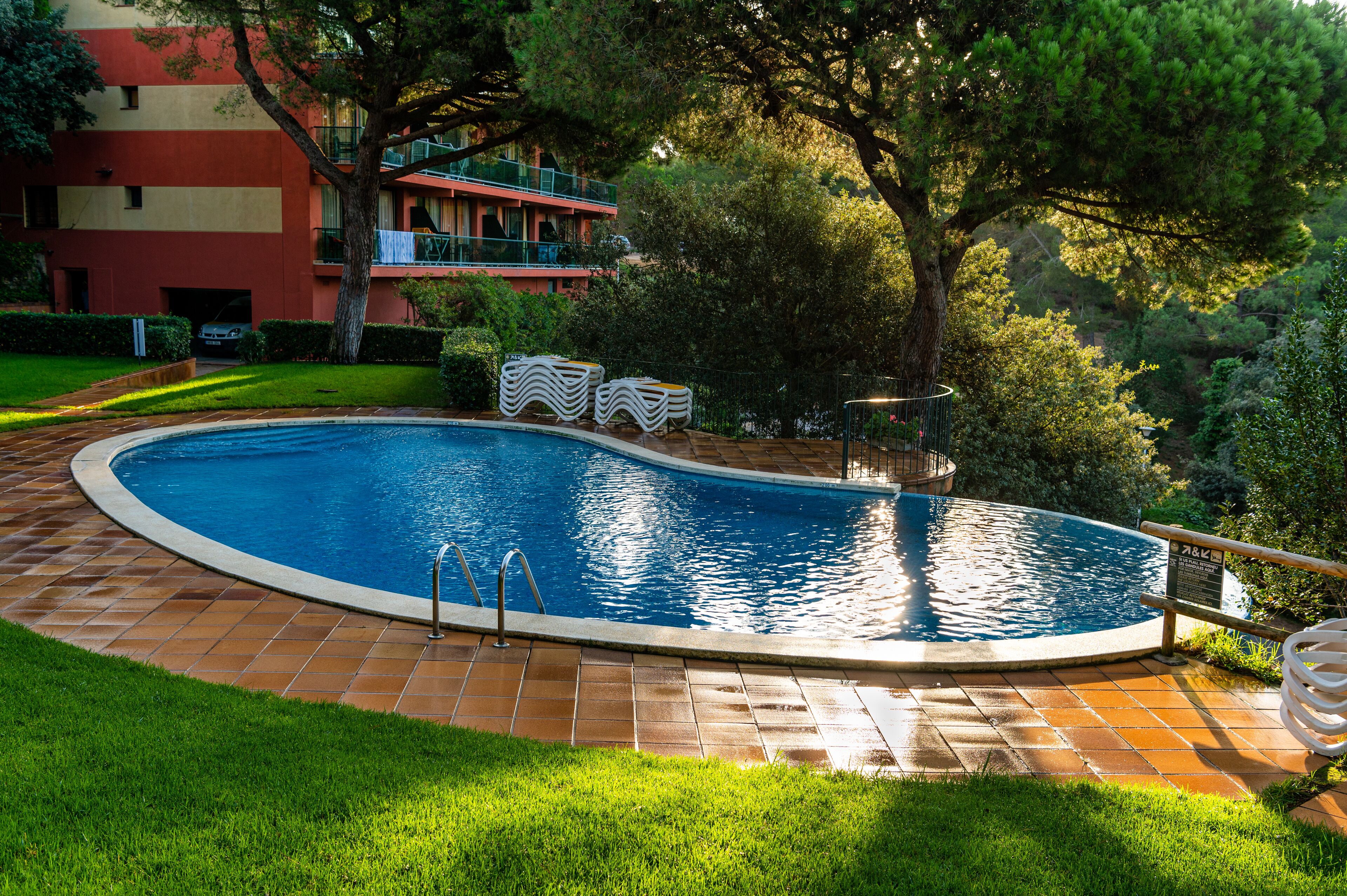 Une piscine dotée d’une terrasse carrelée, entourée de pelouse et d’arbres.