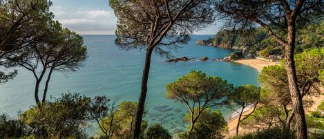 A coastal landscape with trees, a beach, and clear blue water.