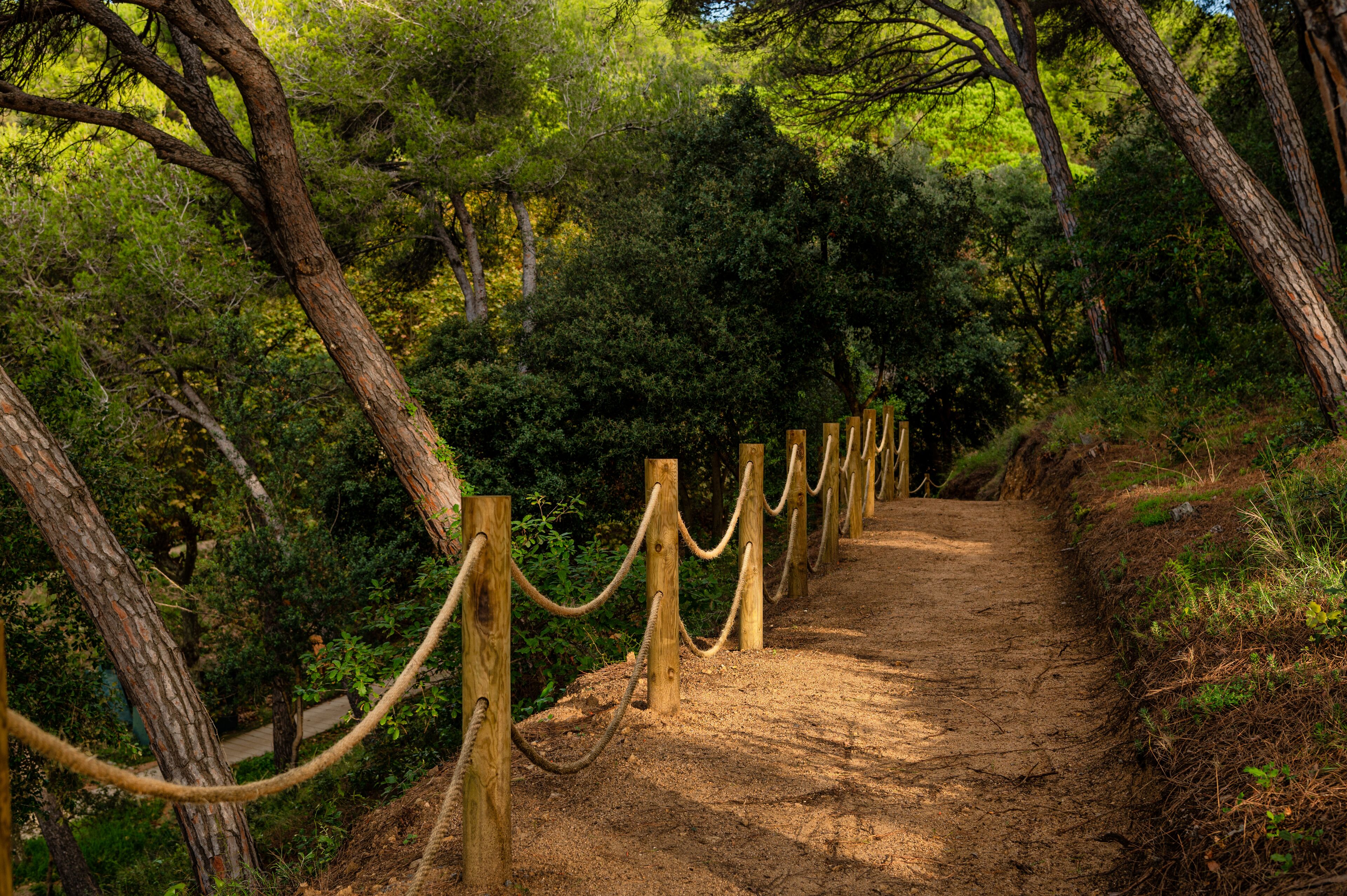 A dirt path with wooden posts and rope barriers in a wooded area.
