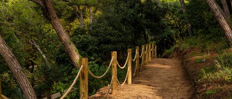 A dirt path with wooden posts and rope barriers in a wooded area.