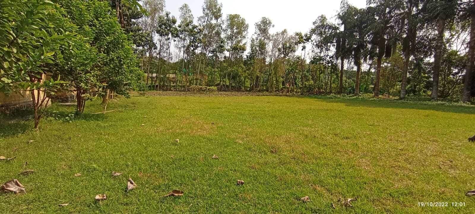 A grassy outdoor area with trees and a building in the background.