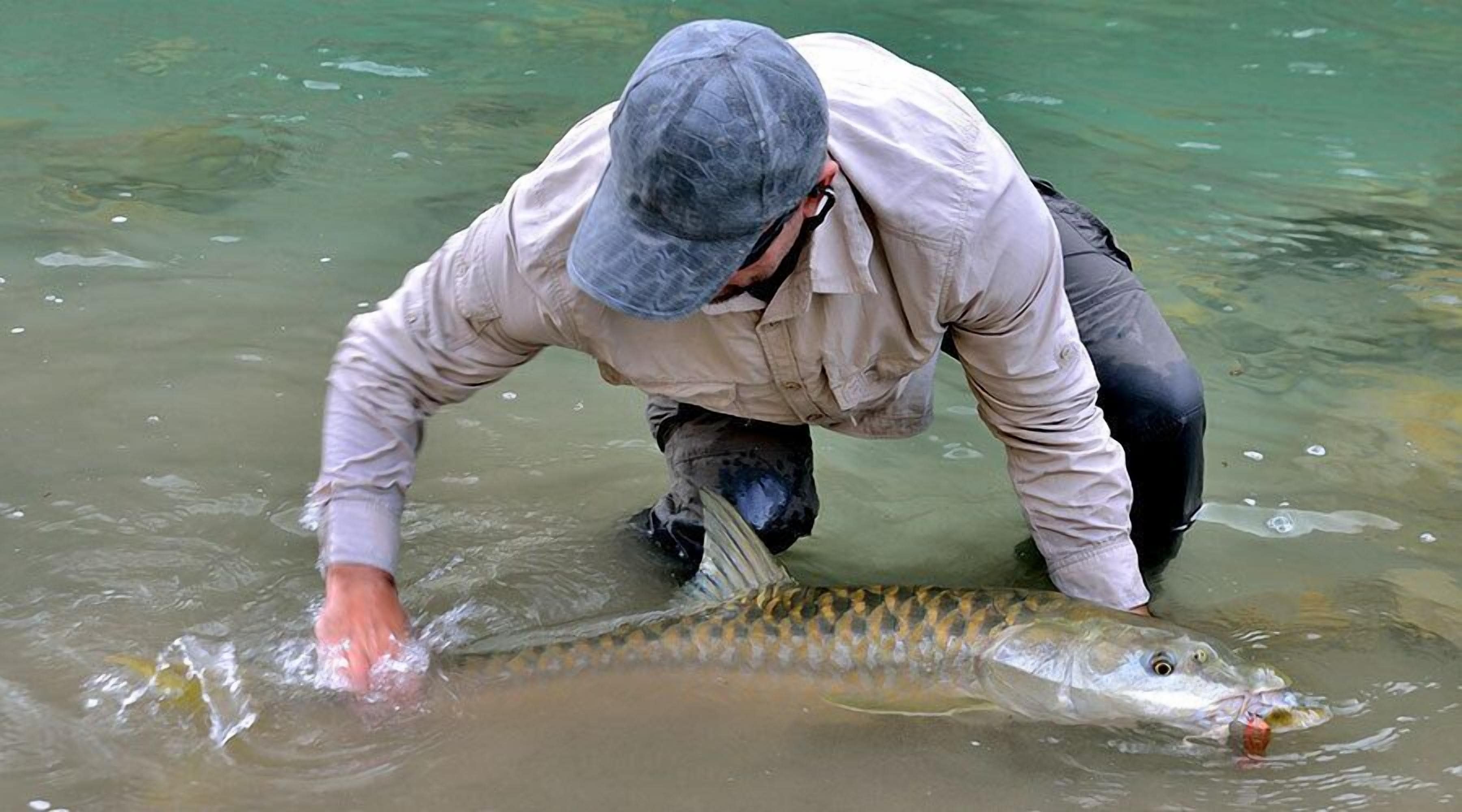 Una persona sostiene un pez grande en agua transparente.