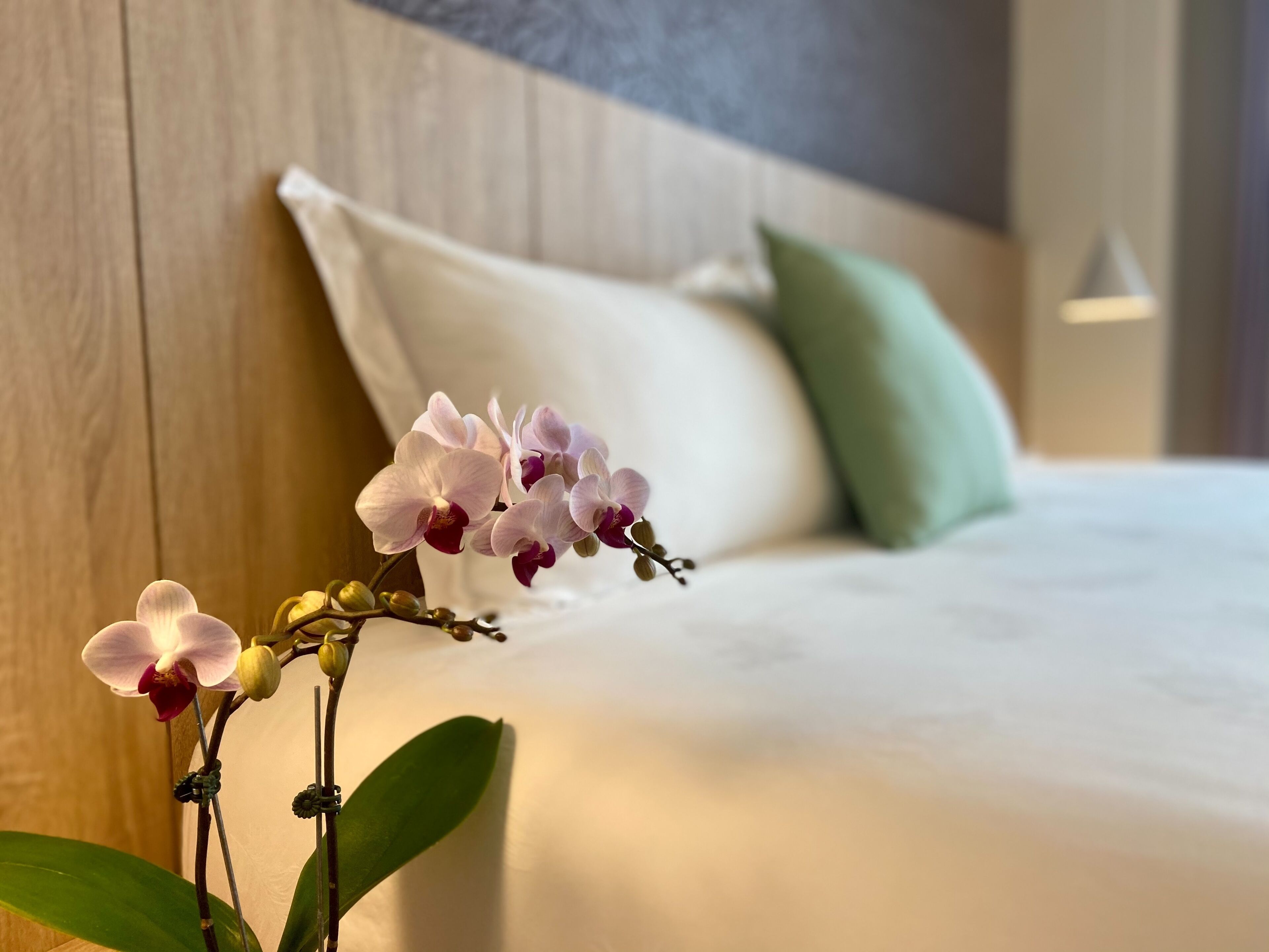 A neatly made bed with white linens, a green pillow, and a wooden headboard.
