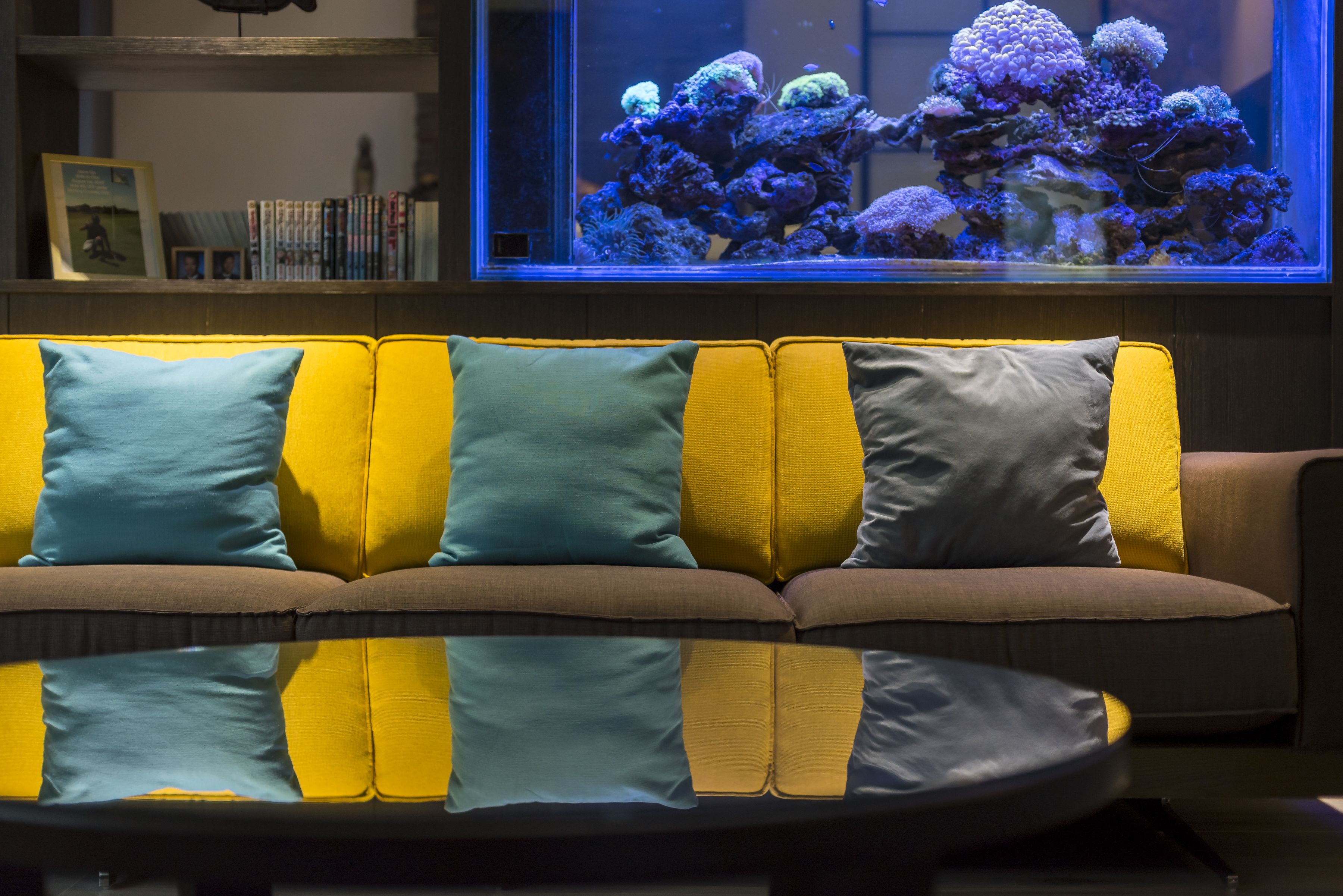 Un canapé avec des coussins jaunes et turquoise, une bibliothèque remplie de livres et ornée d’un tableau encadré, et un grand aquarium avec des coraux aux couleurs vives.