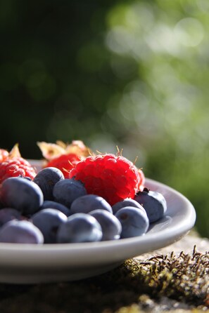 A plate of blueberries and raspberries on a mossy surface. - Carnately Lodge Ballycastle (Ballycastle)