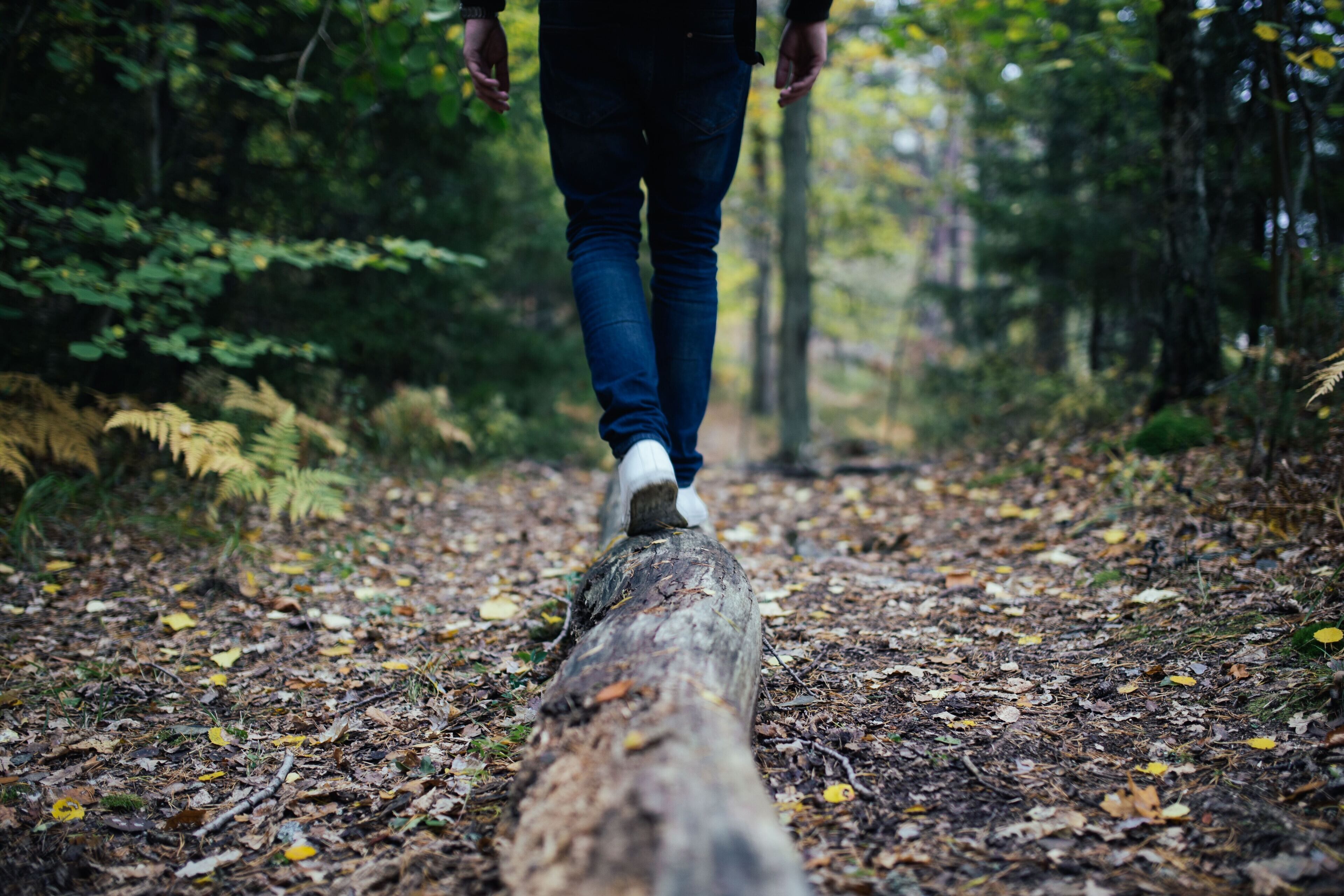 A person walking on a log in a forest.
