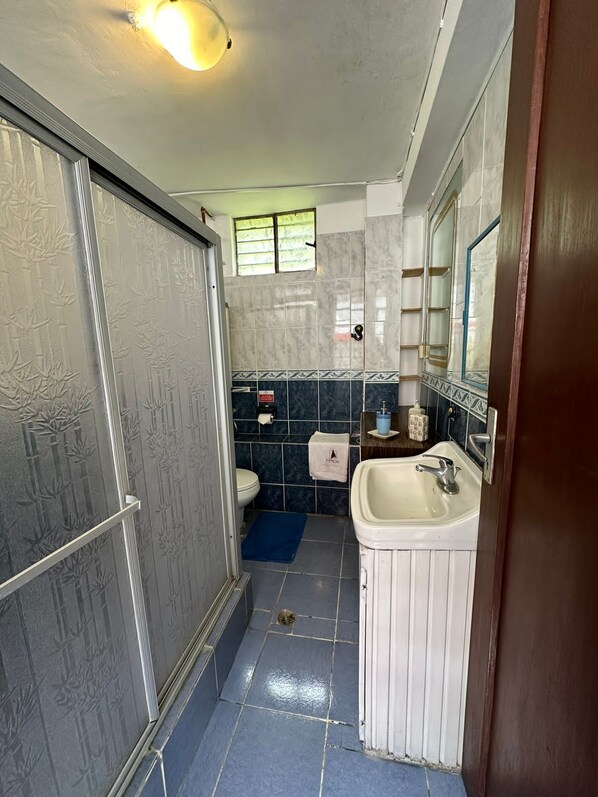 Un baño con inodoro, lavabo y zona de ducha.