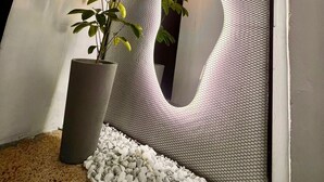 A modern interior with a textured wall, a potted plant, and a unique light fixture.