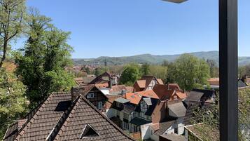 Vista di case europee tradizionali con tetti spioventi e una chiara visuale del paesaggio circostante, tra cui colline e alberi.