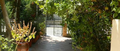 Un sendero conduce a una entrada porticada rodeada de abundante vegetación y plantas en macetas.