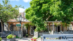 A stone building with a sign reading "MULLIONS RECEPTION," outdoor seating, and a large tree providing shade.