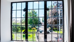 A window with a view of a street and greenery.