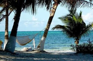 A beach with palm trees and a hammock. - Fisherman Lodge (Punta Allen)