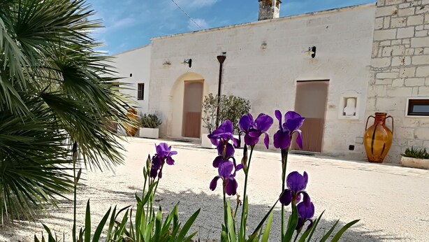 A building with a white facade, two arched doorways, and a large orange vase on the right. - B&B Demetra (Carovigno)
