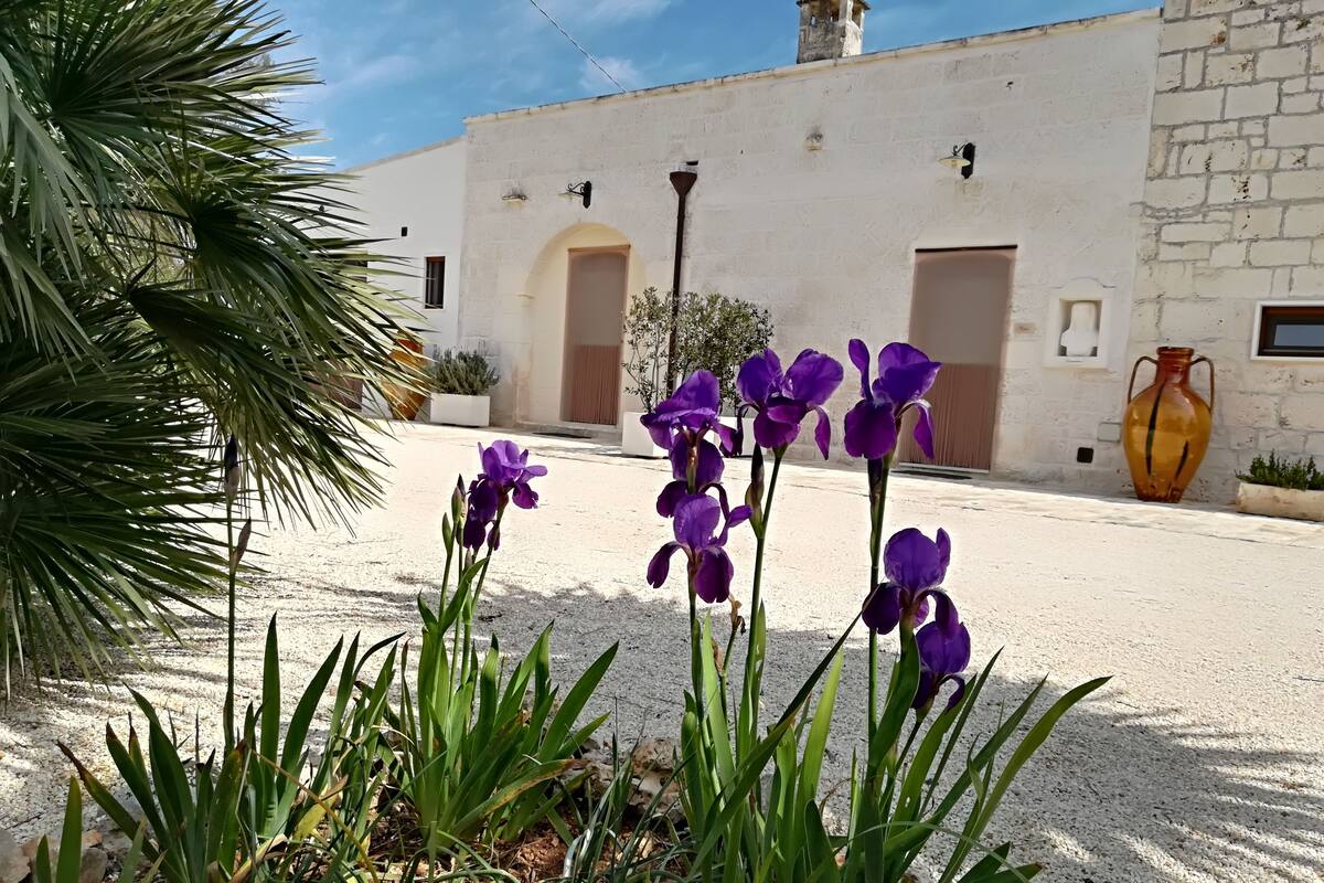 A building with a white facade, two arched doorways, and a large orange vase on the right.