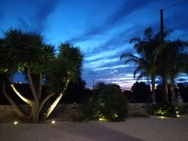 Spazio esterno illuminato di notte, con palme e un muro in pietra.