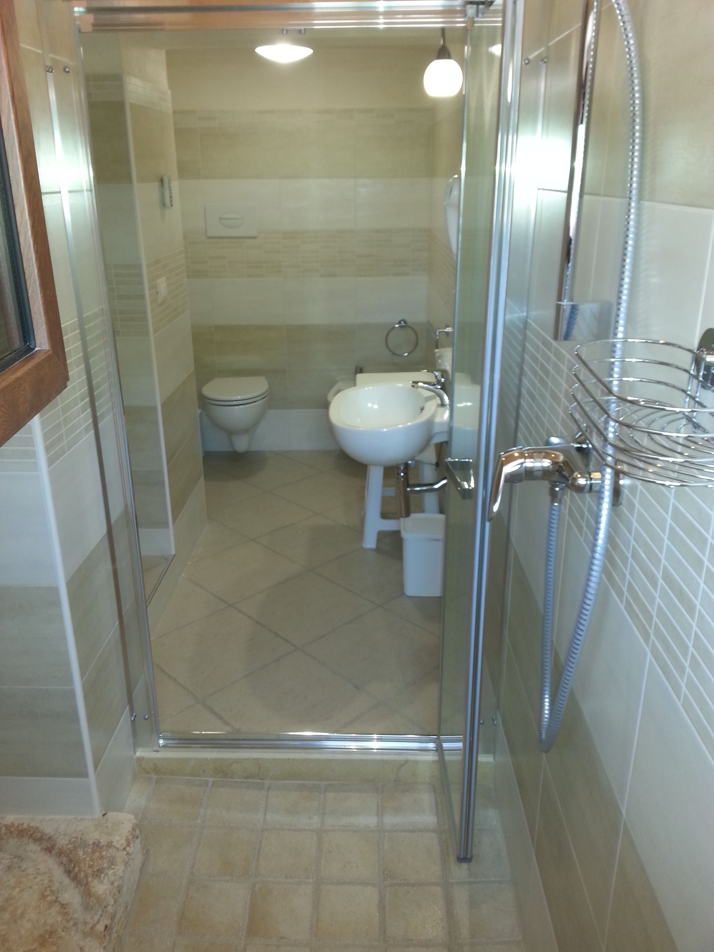 A bathroom with a glass-enclosed shower, a white sink, and a toilet.